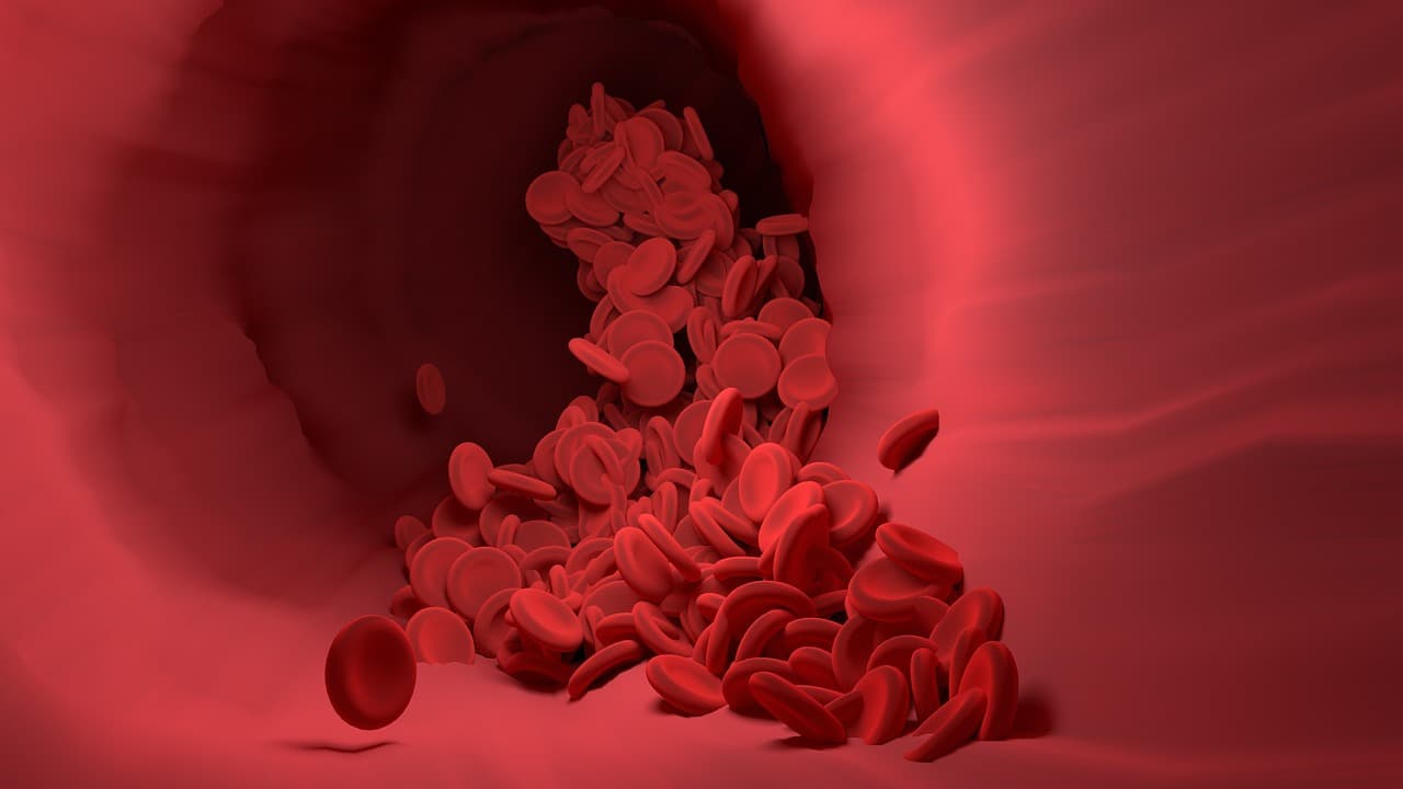 3D hip anatomy background